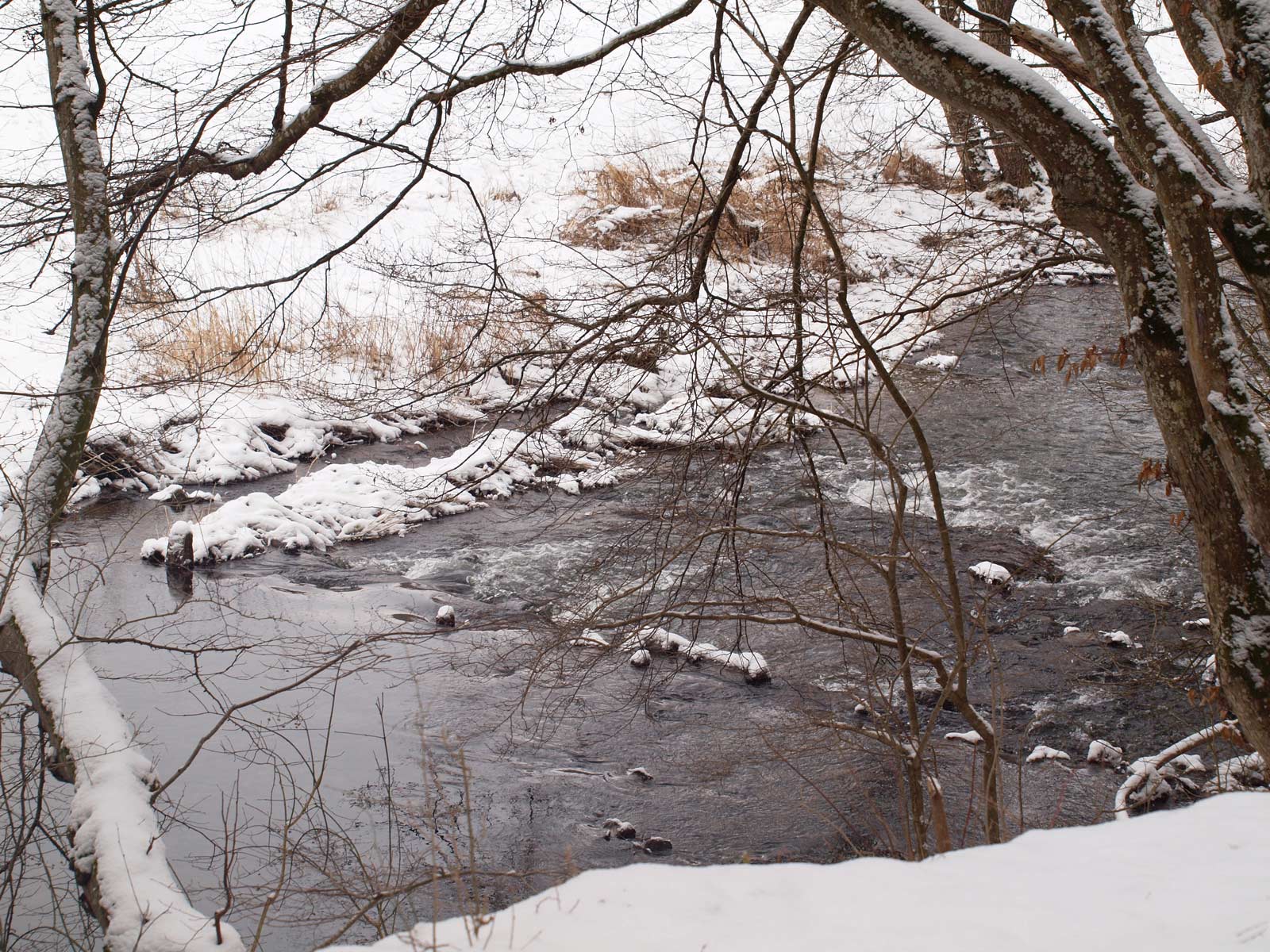 Webdesign aus der Eifel, Morgenstimmung
